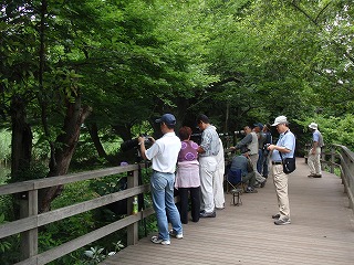 c0105785_10174955.jpg