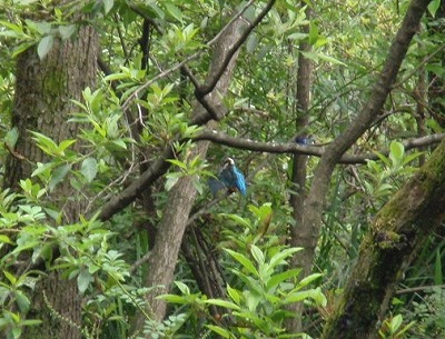 c0105785_10274395.jpg
