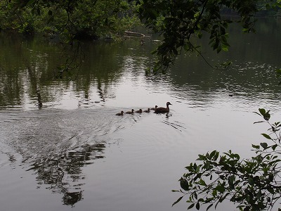 c0105785_1049186.jpg
