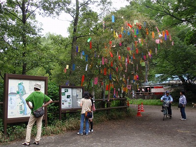 c0105785_1083325.jpg