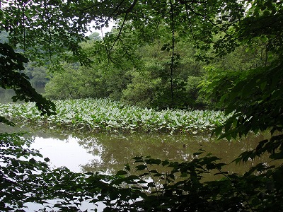 c0105785_11251473.jpg