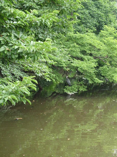 c0105785_11384878.jpg