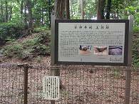 c0105785_1145238.jpg