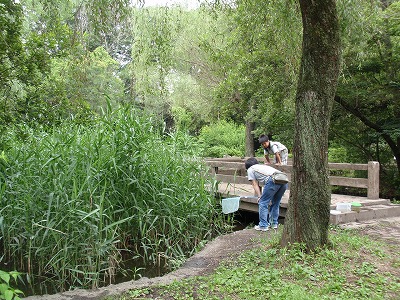 c0105785_9424148.jpg