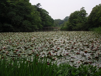 c0105785_9532632.jpg