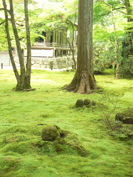 b0014587_134158.jpg