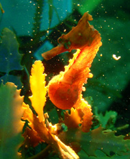 c0018489_2352368.jpg