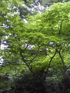 f0038892_15363394.jpg