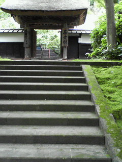 f0038892_15392885.jpg