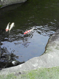 f0038892_1539593.jpg
