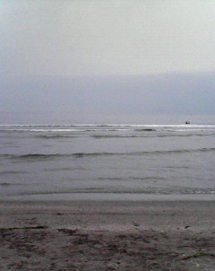 f0038892_15405467.jpg