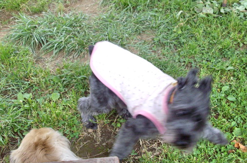 c0138198_8115936.jpg