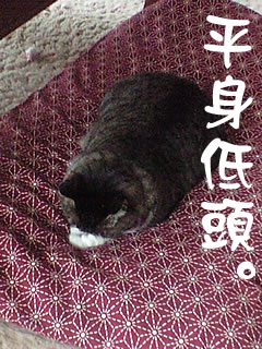 c0035001_15493049.jpg