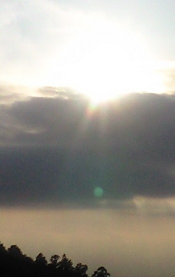 b0083902_1955775.jpg