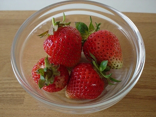 e0115502_13282416.jpg