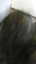 e0005603_18152190.jpg