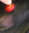 e0005603_18274517.jpg