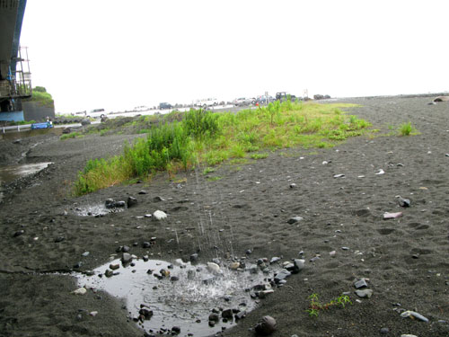 c0011204_13264311.jpg