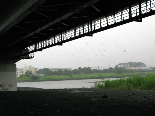 c0011204_13323385.jpg