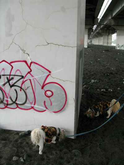 c0011204_1333559.jpg
