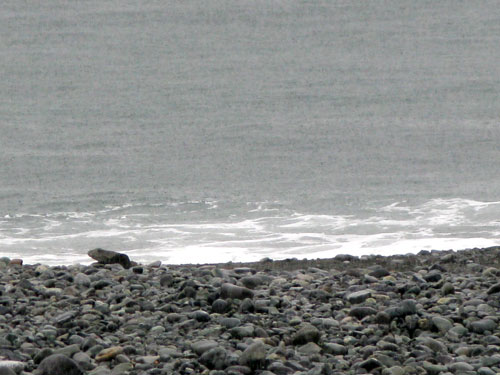 c0011204_13354067.jpg