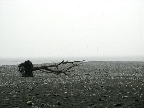 c0011204_133554.jpg