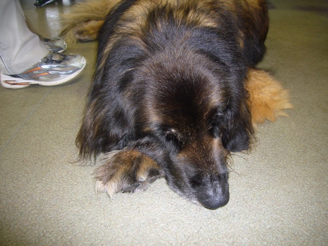 e0018604_903990.jpg
