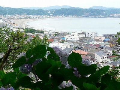 a0024005_17145766.jpg