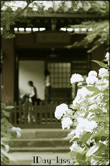 b0111005_962465.jpg