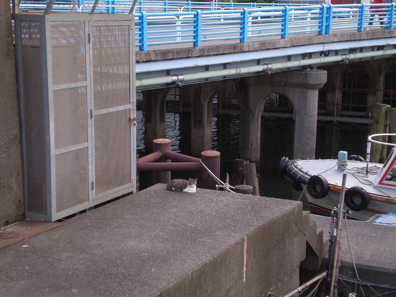 b0144519_1917313.jpg