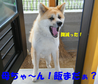 f0008935_23232170.gif