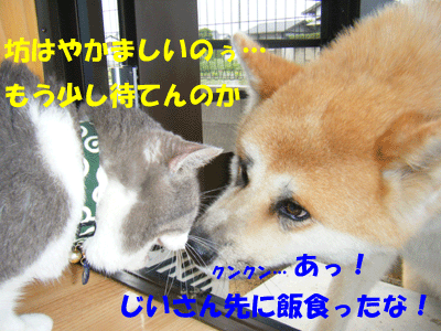 f0008935_23234072.gif