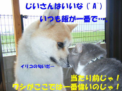 f0008935_23235263.gif