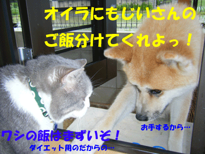f0008935_2324244.gif