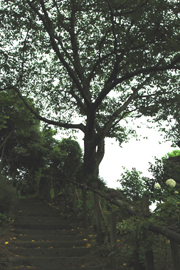 f0029536_8382977.jpg