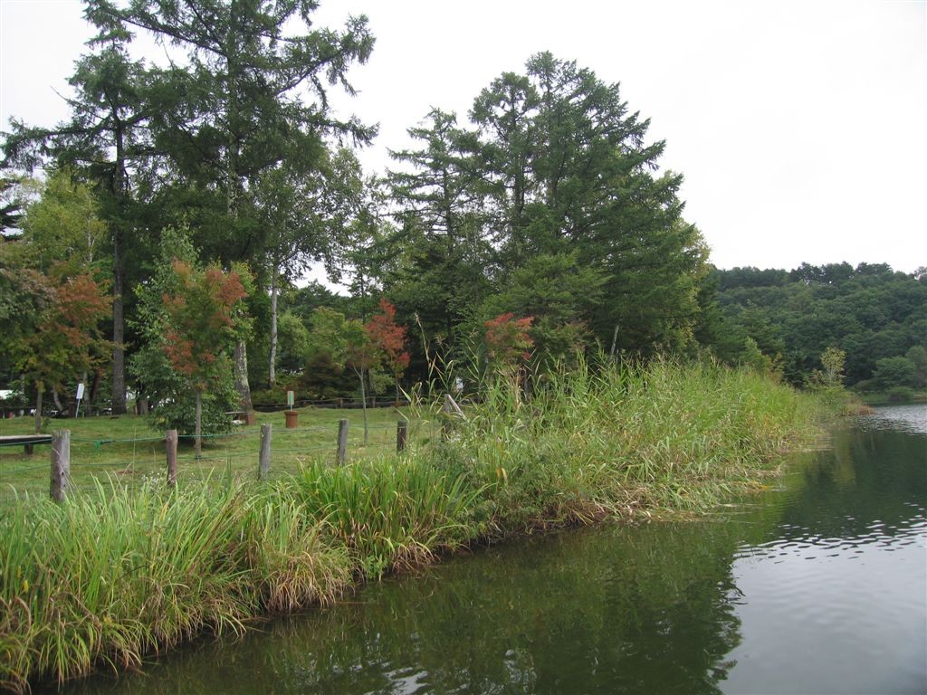 f0151044_1922918.jpg