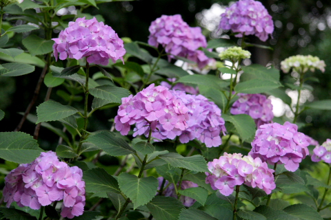 a0024250_23175197.jpg