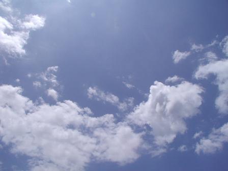 e0106153_4234952.jpg