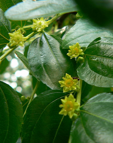 d0091754_3225916.jpg