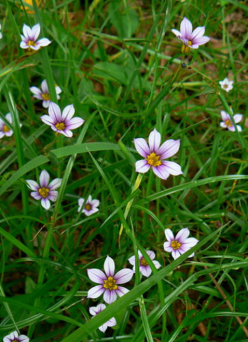d0091754_4304896.jpg