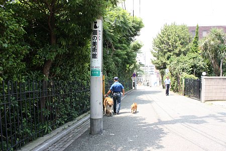 f0171559_23215331.jpg