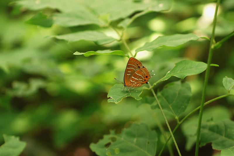 c0043361_2328342.jpg