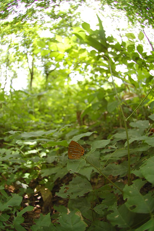 c0043361_23332043.jpg