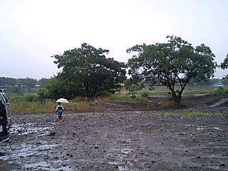 b0024266_2395263.jpg