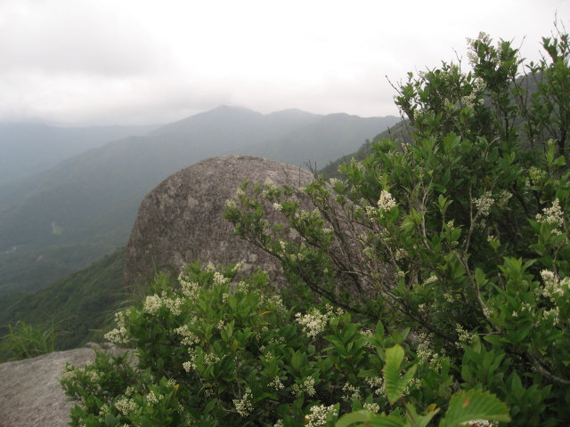 f0016066_21243645.jpg