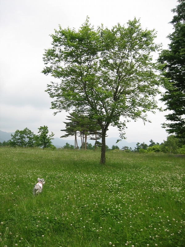 a0104569_21504544.jpg