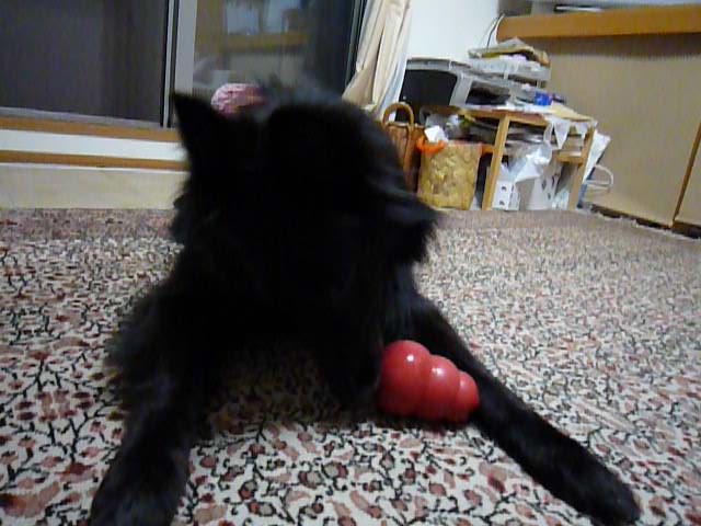 c0052779_21221510.jpg