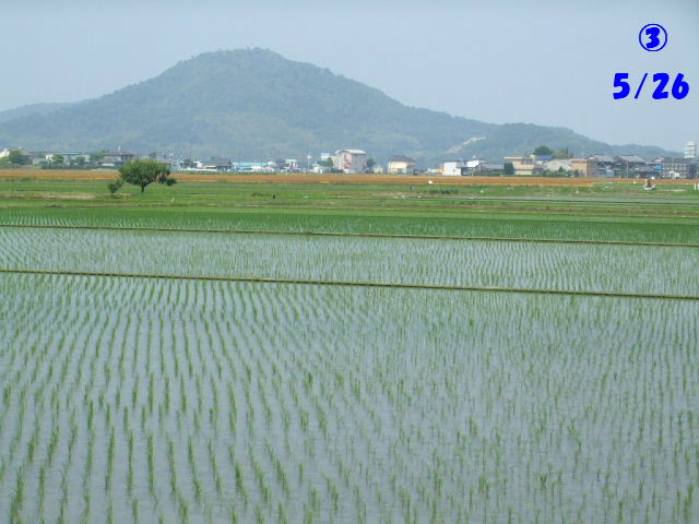 f0005081_21173779.jpg