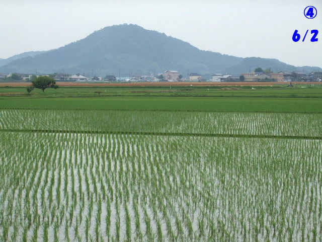 f0005081_21175181.jpg