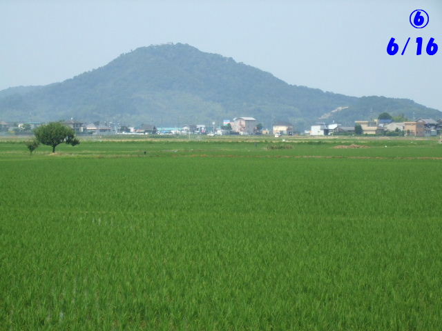 f0005081_21182853.jpg